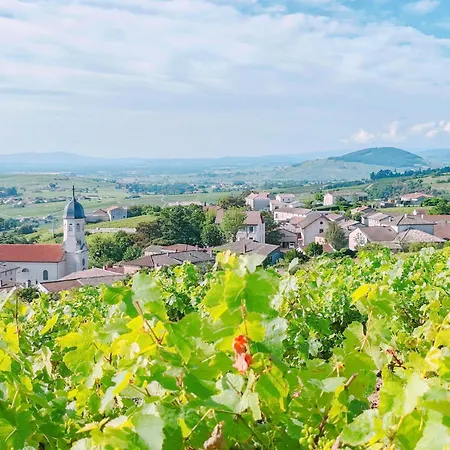 بيت للعطل D'hotes Le Panoramic Beaujolais