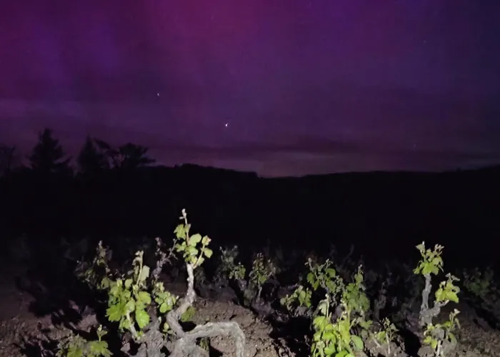 بيت للعطل D'hotes Le Panoramic Beaujolais *