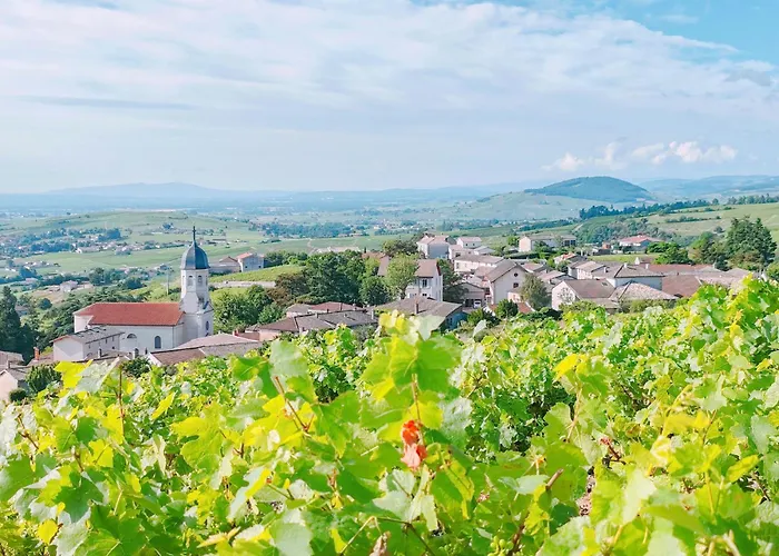 بيت للعطل D'hotes Le Panoramic Beaujolais
